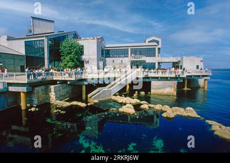 Monterey Aquarium, Monterey, California, USA Stock Photo