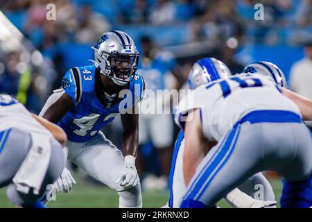 August 25, 2023: Carolina Panthers linebacker Ace Eley (43) watches for the call against the Detroit Lions in the NFL matchup in Charlotte, NC. (Scott Kinser/Cal Sport Media) Stock Photo