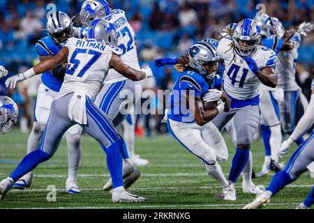 Detroit Lions linebacker James Houston (41) on defense during an NFL  preseason football game against the Carolina Panthers, Friday, Aug. 25,  2023, in Charlotte, N.C. (AP Photo/Brian Westerholt Stock Photo - Alamy