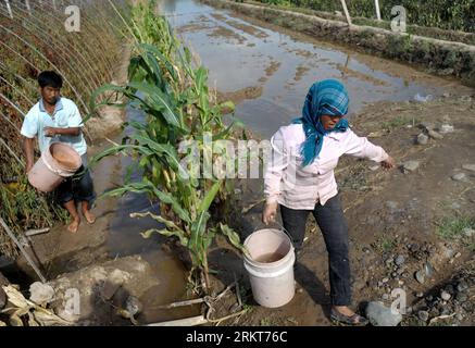 Bildnummer: 58393285  Datum: 27.08.2012  Copyright: imago/Xinhua (120827) -- JINGYUAN, Aug. 27, 2012 (Xinhua) -- Villager Hei Weiyan drains off water at the flooded field at Sanhe Village of Jingyuan County, northwest China s Gansu Province, Aug. 27, 2012. The rising water level of the Jingyuan section of the Yellow River, China s second largest, has led to flood disaster for farmland nearby the river. (Xinhua/Nie Jianjiang) (ry) CHINA-GANSU-YELLOW RIVER-FLOOD (CN) PUBLICATIONxNOTxINxCHN Gesellschaft Überschwemmung x0x xtc 2012 quer      58393285 Date 27 08 2012 Copyright Imago XINHUA  Jing Yu Stock Photo