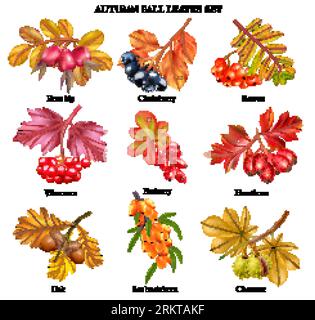 Realistic autumn fall leaves set with isolated compositions of blossoms berries and chestnuts with text captions vector illustration Stock Vector