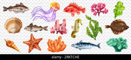 Sea life realistic set of fish algae and other ocean creatures isolated at transparent background vector illustration Stock Vector