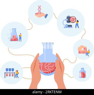 Artificial grown meat composition with blank background and human hands holding lab tube with meat substance vector illustration Stock Vector