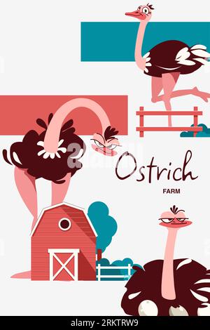 Ostrich farm vertical collage in flat style with funny birds and farmhouse vector illustration Stock Vector