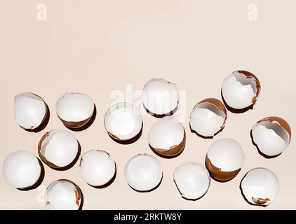 Cracked eggshell arranging on neutral background. Stock Photo