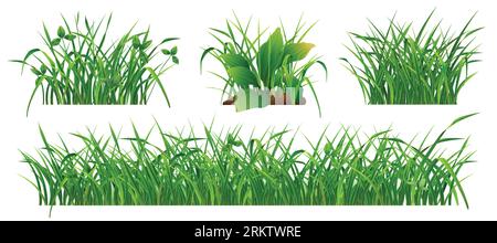 Bushes of fresh green grass realistic set isolated on white background vector illustration Stock Vector