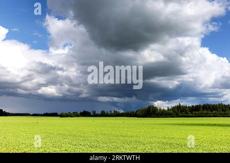 Beautiful green fields in the southeastern part of Estonia with stormy clouds in the background on a beautiful summer day, Estonia Stock Photo