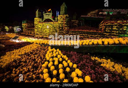 Bildnummer: 58667690  Datum: 05.11.2012  Copyright: imago/Xinhua (121105) -- WUHAN, Nov. 5, 2012 (Xinhua) -- Photo taken on Nov. 5, 2012 shows the chrysanthemums displayed at the 29th chrysanthemum show in Wuhan, capital of central China s Hubei Province. (Xinhua/Cheng Min) (wjq) CHINA-HUBEI-WUHAN-CHRYSANTHEMUM SHOW (CN) PUBLICATIONxNOTxINxCHN Gesellschaft Austellung Blume Chrysantheme x0x xdd 2012 quer      58667690 Date 05 11 2012 Copyright Imago XINHUA  Wuhan Nov 5 2012 XINHUA Photo Taken ON Nov 5 2012 Shows The chrysanthemum displayed AT The 29th Chrysanthemum Show in Wuhan Capital of Cent Stock Photo