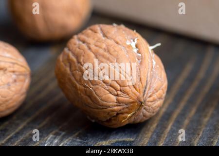 Unpeeled walnut harvest on the table , walnut kernels covered with shells on a wooden board Stock Photo