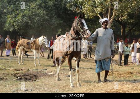 Bildnummer: 58860530  Datum: 01.12.2012  Copyright: imago/Xinhua SONEPUR, Dec. 1, 2012 -- A farmer sells a horse in Sonepur, some 30 kilometers north of Patna, capital of India s eastern state Bihar, Dec. 1, 2012. Farmers and businessmen trade elephants, cows, buffalos and other animals during the Sonepur Cattle Fair. (Xinhua/Li Yigang) Authorized by ytfs INDIA-SONEPUR-CATTLE FAIR PUBLICATIONxNOTxINxCHN Gesellschaft Tiere Wirtschaft Tiermarkt Viehmarkt Markt x1x xac 2012 quer     58860530 Date 01 12 2012 Copyright Imago XINHUA Sonepur DEC 1 2012 a Farmer sells a Horse in Sonepur Some 30 Kilome Stock Photo