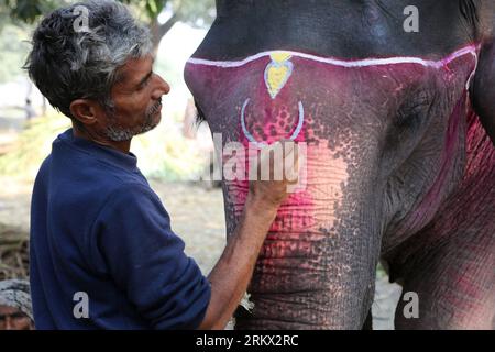 Bildnummer: 58860529  Datum: 01.12.2012  Copyright: imago/Xinhua SONEPUR, Dec. 1, 2012 -- An Indian decorates an elephant on sell in Sonepur, some 30 kilometers north of Patna, capital of India s eastern state Bihar, Dec. 1, 2012. Farmers and businessmen trade elephants, cows, buffalos and other animals during the Sonepur Cattle Fair. (Xinhua/Li Yigang) Authorized by ytfs INDIA-SONEPUR-CATTLE FAIR PUBLICATIONxNOTxINxCHN Gesellschaft Tiere Wirtschaft Tiermarkt Viehmarkt Markt x1x xac 2012 quer     58860529 Date 01 12 2012 Copyright Imago XINHUA Sonepur DEC 1 2012 to Indian  to Elephant ON Sell Stock Photo