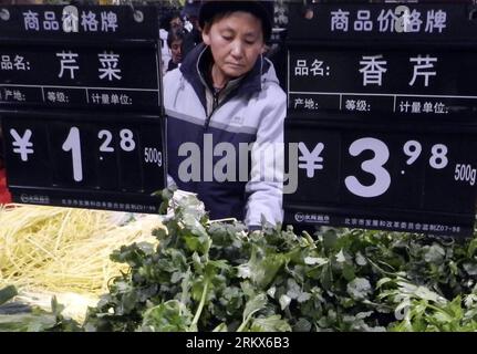 Bildnummer: 58898451  Datum: 09.12.2012  Copyright: imago/Xinhua (121209) -- BEIJING, Dec. 9, 2012 (Xinhua) -- A consumer buys vegetable at a supermarket in Beijing, capital of China, Dec. 9, 2012. China s consumer price index (CPI), a main gauge of inflation, grew 2 percent year on year in November, the National Bureau of Statistics announced Sunday. The inflation rate increased from a 33-month low of 1.7 percent in October as food prices increased. (Xinhua/Wang Zhen) (mp) CHINA-NOVEMBER CPI-RISE (CN) PUBLICATIONxNOTxINxCHN Gesellschaft Wirtschaft Essen Nahrung Marktstand x0x xds 2012 quer Stock Photo