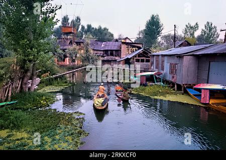 Floating vegetable market, Dal Lake, Srinagar, Kashmir, India Stock Photo