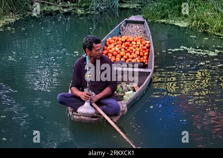 Tomato vendor enjoying tobacco pipe at the floating vegetable market, Dal Lake, Srinagar, Kashmir, India Stock Photo