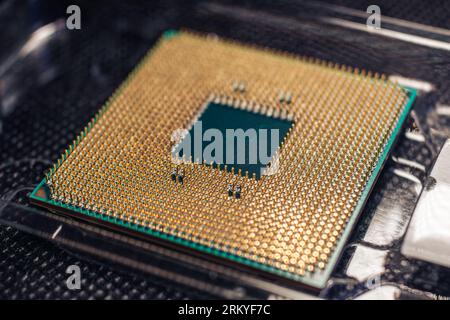 CPU microchip golden pins close-up. Desktop PC computing processor unit details with selective focus view Stock Photo