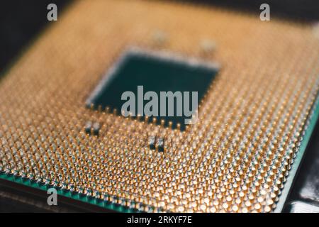 CPU microchip golden pins contacts close-up. Desktop PC computing processor unit with selective focus view Stock Photo