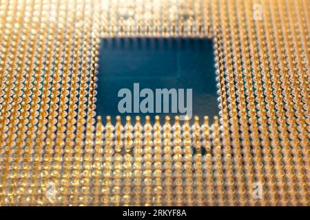 CPU microchip golden pins contacts close-up. Desktop computer computing processor unit details with blurred background Stock Photo