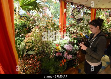 Bildnummer: 59439311  Datum: 25.03.2013  Copyright: imago/Xinhua A woman views flowers and plants during the Macy s Flower Show 2013 at Macy s Herald Square Broadway Plaza in New York City, March 25, 2013. Drenched in spectacular palette of colors, this year s show evokes the inspiring architecture and vibrant spirit of south Asia. The Painted Garden show will last until April 7.(Xinhua/Wang Lei) US-NEW YORK-MACY S FLOWER SHOW PUBLICATIONxNOTxINxCHN Gesellschaft x0x xsk 2013 quer     59439311 Date 25 03 2013 Copyright Imago XINHUA a Woman Views Flowers and Plants during The Macy S Flower Show Stock Photo