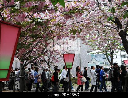 Bildnummer: 59527967  Datum: 17.04.2013  Copyright: imago/Xinhua (130417) -- OSAKA, April 17, 2013 (Xinhua) -- look at the cherry blossoms at the Mint Bureau in Osaka, Japan, April 17, 2013. Many visitors were attracted to see the cherry blossoms on the 560-meter-long avenue at the the Mint Bureau in Osaka. (Xinhua/Ma Xinghua) (axy) JAPAN-OSAKA-CHERRY BLOSSOM PUBLICATIONxNOTxINxCHN Gesellschaft Frühling Kirschblüte Blüte blühen xas x0x 2013 quer      59527967 Date 17 04 2013 Copyright Imago XINHUA  Osaka April 17 2013 XINHUA Look AT The Cherry Blossoms AT The Mint Bureau in Osaka Japan April 1 Stock Photo