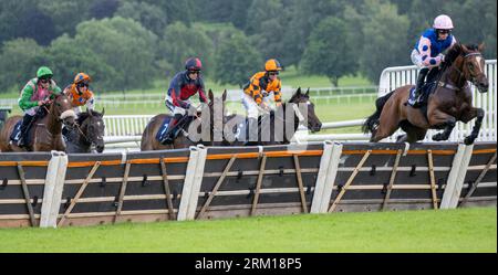 National Hunt horse racing at Uttoxeter Racecourse, Wood Lane, Uttoxeter, Staffordshire, England, UK Stock Photo