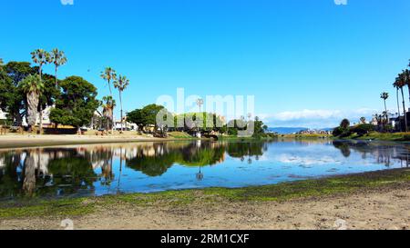 Del Rey Lagoon in Playa Del Rey with spring blooms, Los Angeles ...