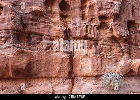 People in the Khazali canyon, famous for the ancient inscriptions and waterholes, Wadi Rum, Jordan, Middle East Stock Photo