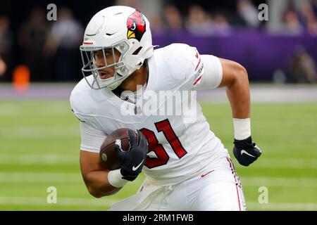 Seattle Seahawks tight end Noah Fant (87) warms up before an NFL football  game against the Arizona Cardinals in Glendale, Sunday, Nov. 6, 2022. (AP  Photo/Matt York Stock Photo - Alamy