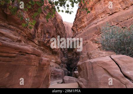 People in the Khazali canyon, famous for the ancient inscriptions and waterholes, Wadi Rum, Jordan, Middle East Stock Photo