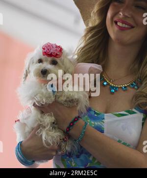 Bildnummer: 59796837  Datum: 10.06.2013  Copyright: imago/Xinhua (130610) -- TORONTO, June 10, 2013 (Xinhua) -- A model with a dressed up pet dog is seen on stage during the 2013 Woofstock event in Toronto, Canada, June 9, 2013. Launched in 2003, the Woofstock has become the largest outdoor festival for dogs in North America. This year s festival was held from June 8 to June 9. (Xinhua/Zou Zheng) (lyx) CANADA-TORONTO-WOOFSTOCK-DOG-FESTIVAL PUBLICATIONxNOTxINxCHN Gesellschaft x2x xkg 2013 quadrat premiumd  o0 Tiere Hund Hundeschau USA     59796837 Date 10 06 2013 Copyright Imago XINHUA  Toronto Stock Photo