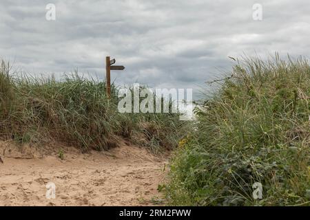 Wooden sign post on the beach pointing in two directions Stock Photo