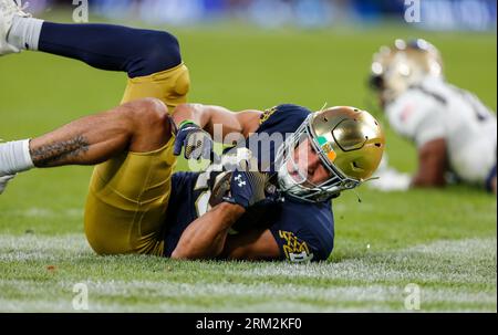 26th August 2023; Aviva Stadium, Dublin, Ireland: Aer Lingus College Football Classic, Notre Dame versus Navy; Fighting Irish wide receiver Jaden Greathouse #19 falls as he scores a touchdown Credit: Action Plus Sports Images/Alamy Live News Stock Photo