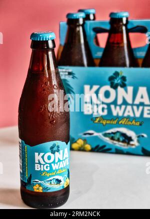 Still life of a bottle and six pack of Kona Big Wave beer, 2023, USA Stock Photo