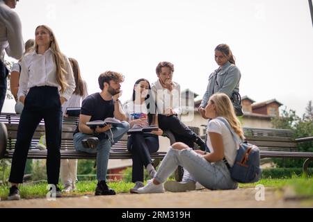 College students studying together, discussing subject before exam sitting in the park. Stock Photo