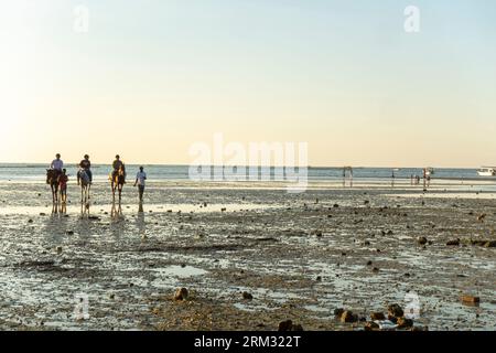 Horse riding led by a man at the Karbabad beach, Seef Bahrain, Persian gulf, Middle east Stock Photo