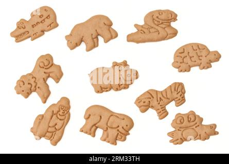 Collection set of animal shaped cookies for kids isolated on white background Stock Photo
