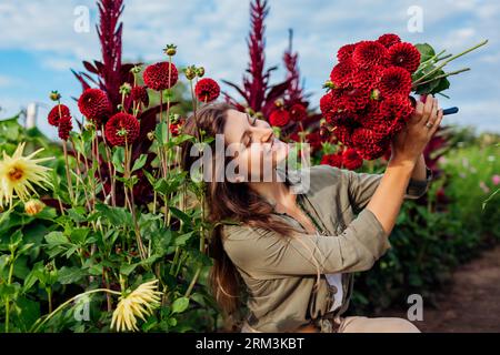 Portrait of smiling gardener holding bouquet of red pompon dahlias in summer garden at sunset. Woman picking flowers. Stock Photo