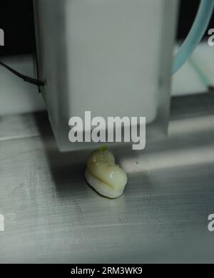 Bildnummer: 60335603  Datum: 07.08.2013  Copyright: imago/Xinhua (130807) -- HANGZHOU, Aug. 7, 2013 (Xinhua) -- The biomaterial 3D printer Regenovo prints tissues in the laboratory of Hangzhou Dianzi University in Hangzhou, capital of east China s Zhejiang Province, Aug. 7, 2013. Researchers in Hangzhou Dianzi University invented a biomaterial 3D printer called Regenovo in recent days, which could print out human tissues in smaller proportions. The printer has become the first 3D tissue printer with Independent Intellectual Property Rights (IIPR) in China. (Xinhua/Xu Yu) (zwx) CHINA-ZHEJIANG-H Stock Photo