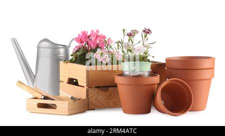 Beautiful flowers, pots and gardening tools isolated on white Stock Photo