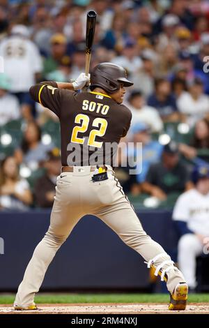 MILWAUKEE, WI - AUGUST 26: San Diego Padres left fielder Juan Soto