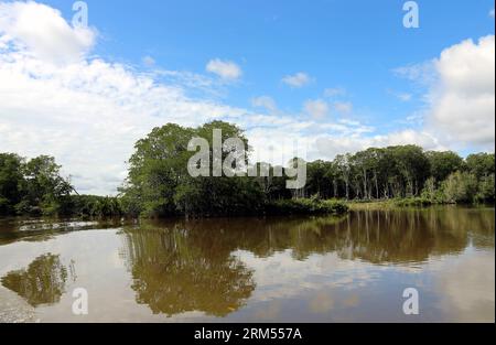 Bildnummer: 60576710  Datum: 08.10.2013  Copyright: imago/Xinhua (131008) -- BANDAR SERI BEGAWAN, Oct. 8, 2013 (Xinhua) -- Photo taken on April 26, 2013 shows a tropical rainforest in Brunei. Brunei is a sovereign state located on the north coast of the island of Borneo, in Southeast Asia. Apart from its coastline with the South China Sea, it is completely surrounded by the state of Sarawak, Malaysia; and it is separated into two parts by the Sarawak district Limbang. Brunei s population was 401,890 in July 2011. It has developed wealth from extensive petroleum and natural gas fields. Islam is Stock Photo