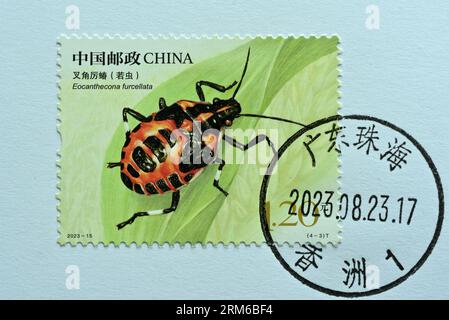 CHINA - CIRCA 2023: A stamps printed in China shows 2023-15 insect Fork horned stink bug (nymph),  circa 2023. Stock Photo