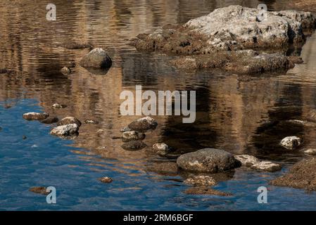 (131231) -- ACRE, Dec. 31, 2013 (Xinhua) -- Remains of the Old City of Acre are reflected in the water in northern Israel, Dec. 27, 2013. The Old City of Acre in Acre in Israel was inscribed on the UNESCO World Heritage List in 2001. With a history of more than 5,000 years recorded in documents, Acre is a walled port-city with continuous settlement from the Phoenician period. The present city is characteristic of a fortified town of the Ottoman dating from 18th and 19th centuries, with typical urban components such as the citadel, mosques, khans and baths. The remains of the Crusader town, dat Stock Photo