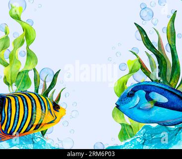 Watercolor drawing set from curved ribbon algae, air bubbles, blue transparent water waves, royal angel fish and surgeon isolated on light-blue Stock Photo