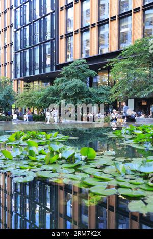 Water lillies in Pancras Square on a warm summer's day, with offices around and Kings Cross station beyond, North London, UK Stock Photo