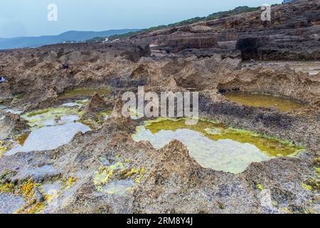 Exploring Green Tide Pools on Rimel Beach, Bizerte, Tunisia Stock Photo