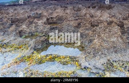 Exploring Green Tide Pools on Rimel Beach, Bizerte, Tunisia Stock Photo