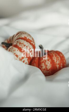 Small pumpkin nestled in a white sheet Stock Photo