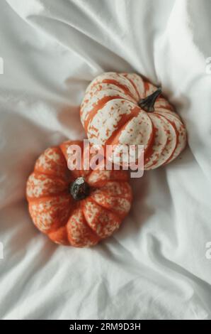 Small pumpkin nestled in a white sheet Stock Photo