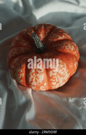 Small pumpkin nestled in a white sheet Stock Photo