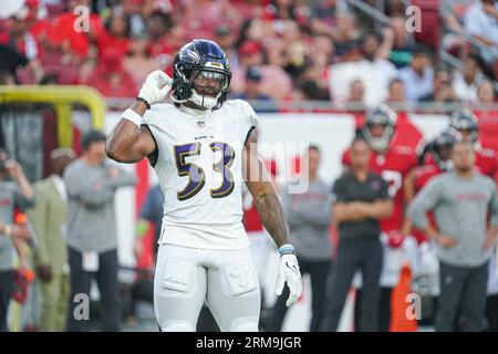 Baltimore Ravens linebacker Del'Shawn Phillips (53) walks off the